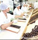 Fabrica Ciocolata Germania 