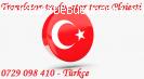 Traduceri rapide limba turcă-greacă ★★★★★ 