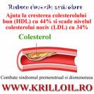 Scadere trigliceride si colesterol natural
