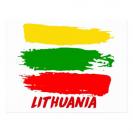 Traducător-interpret autorizat lituaniană 